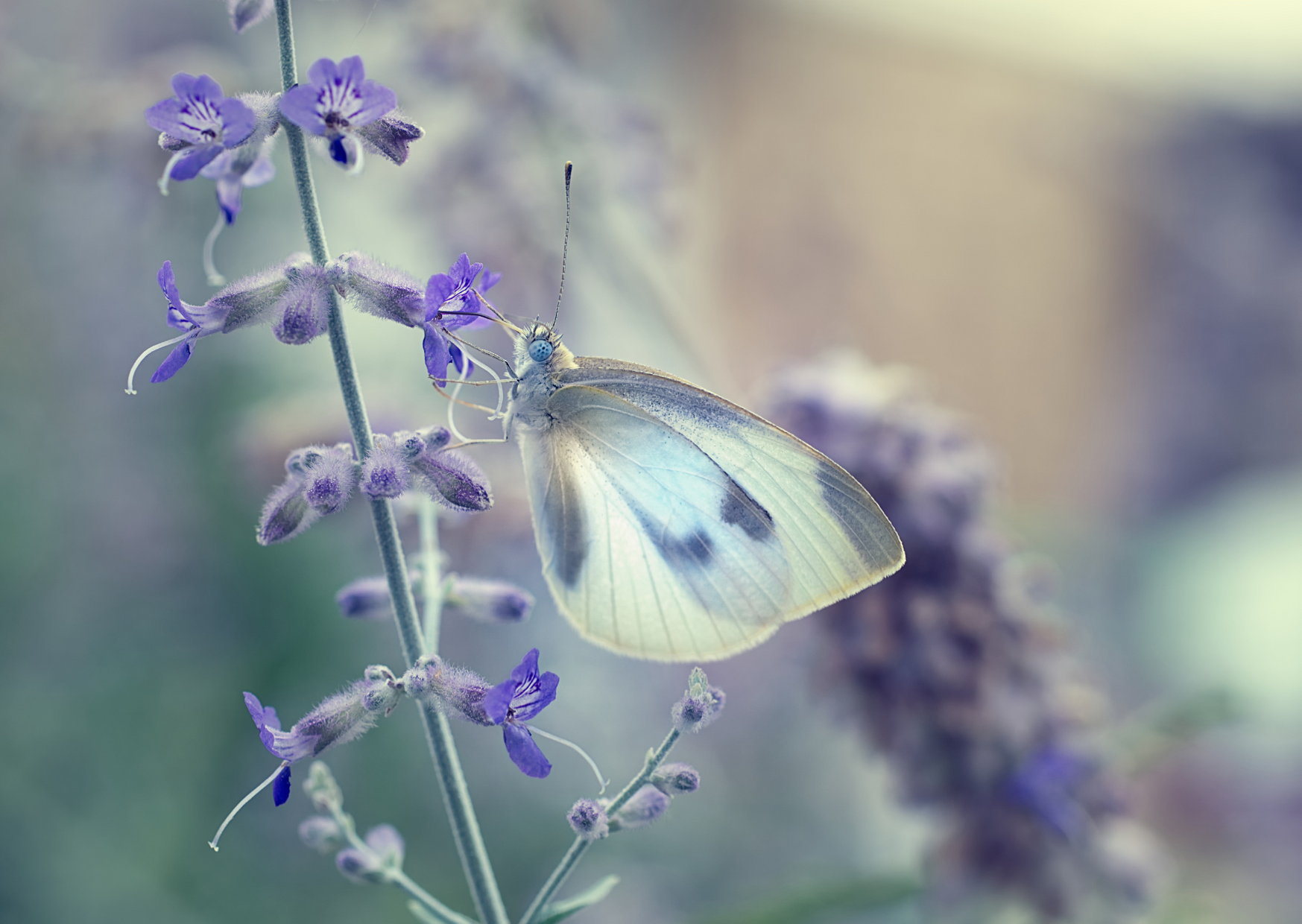 どんな悩みがあったとしてもあなたには力がある 組織力を高めたいリーダーのための 気づく力 の育て方 本当の自分 そして私たちになる